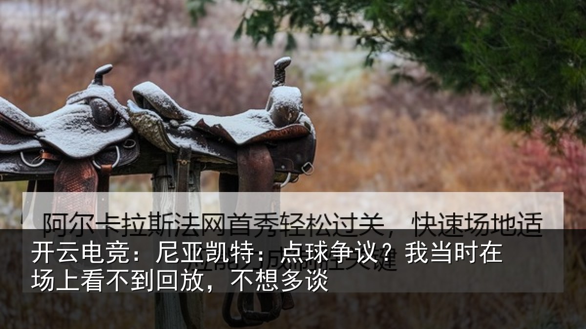 开云电竞:尼亚凯特:点球争议?我当时在场上看不到回放,不想多谈
