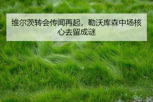 wei-er-ci-zhuan-hui-chuan-wen-zai-qi-lei-wo-ku-sen-zhong-chang-he-xin-qu-liu-cheng-mi-3-917.jpg