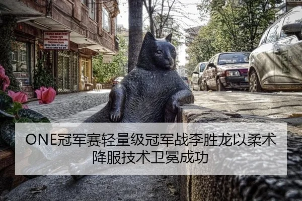guan-jun-sai-qing-liang-ji-guan-jun-zhan-li-sheng-long-yi-rou-shu-xiang-fu-ji-shu-wei-mian-cheng-gong-2-977.jpg