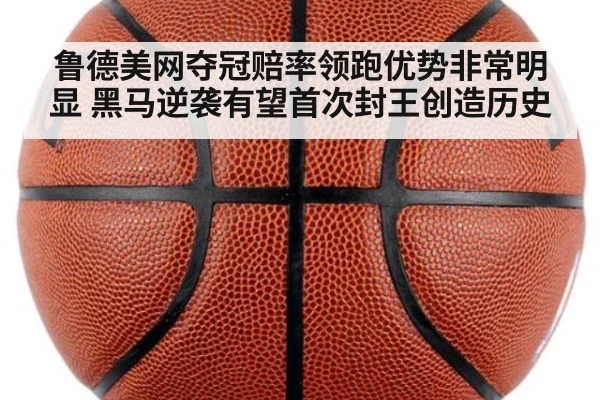 鲁德美网夺冠赔率领跑优势非常明显 黑马逆袭有望首次封王创造历史